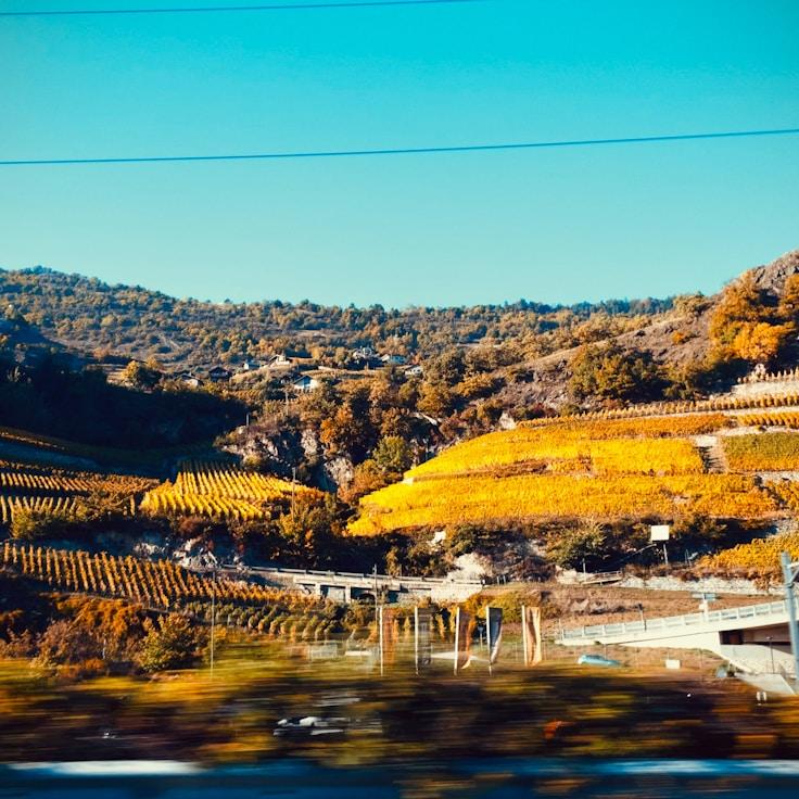 Kids playground area in Spain